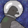 pigeonaut